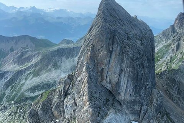 Les Volatiles-8
